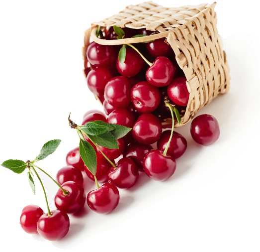 Cherry tart