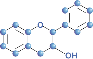 Flavonoid molecule